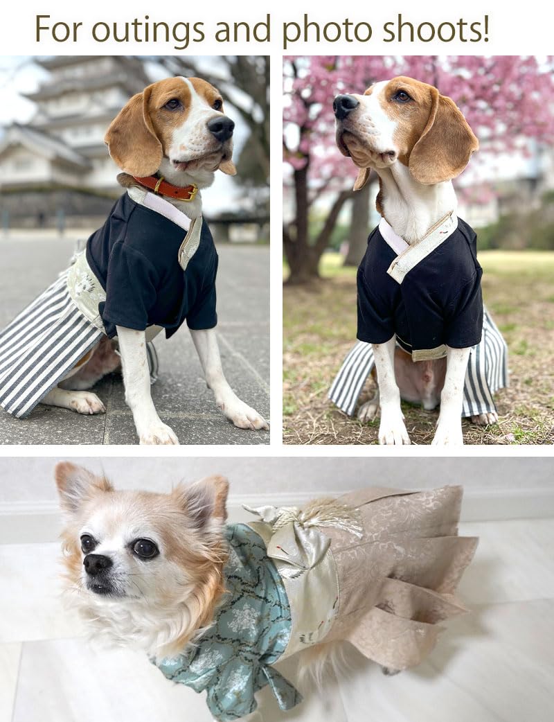 Amazon | ONEKOSAMA OINUSAMA 犬 着物 [ダマスク柄ピンク/XS